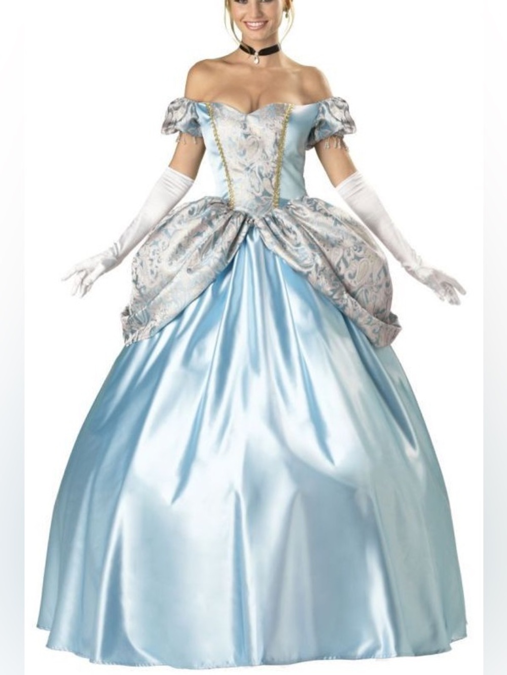 Adult Cinderella Costume/Gown